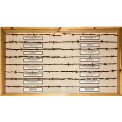 Barbed Wire Display Case 4