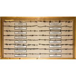 Barbed Wire Display Case 5