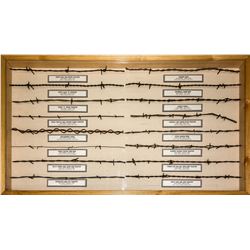 Barbed Wire Display Case 6