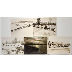 Sled Dog Photographs