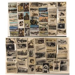 Alaska postcards: Sled Dog RPC's