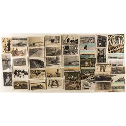 Alaska postcards: Wildlife RPC's