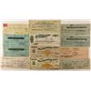 Image 1 : Arizona Check Collection (incl. Tombstone & Mexican Silver)