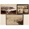 Image 1 : Catalina Mounted Photos