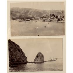 Two Choice Harbor Shots