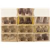 Image 1 : Yosemite Big Trees Stereoviews
