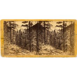 Rocky Mountain stereoview