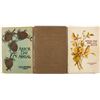 Image 1 : Arbor and Bird Day Book Group