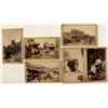 Image 1 : Six Colorado Cabinet Cards by Anna M. Tweed