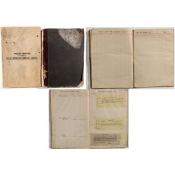 Clinton, Illinois Insurance Ledgers