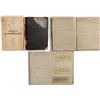 Image 1 : Clinton, Illinois Insurance Ledgers
