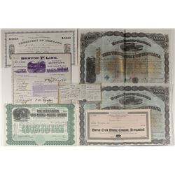 Montana Bonds, Stocks, and a Shipping Line