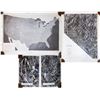 Image 1 : Mosaic Imagery Maps