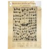 Image 1 : 1891 Nevada Legislature Broadside