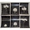 Image 1 : Nevada Atom Bomb Test Photographs, Likely by Chemist N.E. Wilson