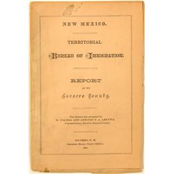 New Mexico Territorial Bureau of Immigration