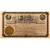 Image 1 : Michigan Gold Company Stock Certificate *Territorial*