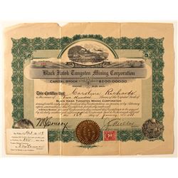 Black Hawk Tungsten Mining Corporation