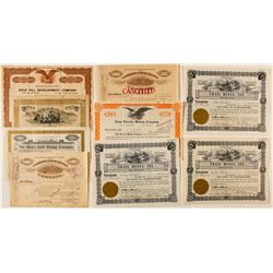 Colorado Stock Certificate Group