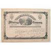 Image 1 : Alleghany Mining Company Stock Certificate