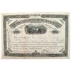 Image 1 : Bonanza Development Company of Colorado Stock Certificate