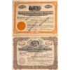 Image 1 : Bullfrog Pioneer Extension Mines Co. Stock Certificates