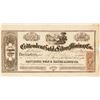 Image 1 : Nevada Territory Crittenden Mining Stock Certificate