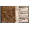 Image 1 : Gold Reef Consolidated Gold and Silver Mining Company Stock Certificate Books  (2)