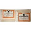 Image 1 : Eastern Malleable Iron Company Stock Certificates (170)