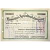 Image 1 : Hawaiian Agricultural Company Stock Certificate