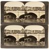 Image 1 : Reno Stereoviews of Truckee River (Keystone)