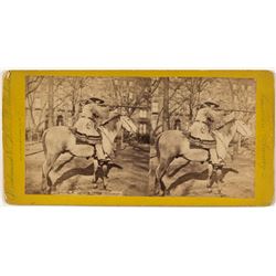 "Buffalo Bill" Stereoview 2