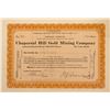 Image 1 : Chaparral Hill Gold Mining Company Stock Certificate