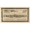 Image 1 : Scott River Dredging Co. Stock Certificate