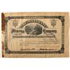 Image 1 : The Alleghany Mining Company Stock Certificate