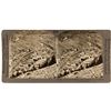 Image 1 : Colorado Stereo view misidentified as Nevada