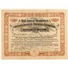 Image 1 : The Iron Springs Cons. Mining Company Stock