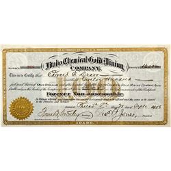 Idaho Chemical Gold Mining Company Stock