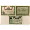 Image 1 : Michigan Stock Certificates Trio