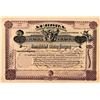 Image 1 : Aurora Consolidated Mining Company Stock Certificate