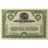 Image 1 : Austin Silver Mining Company Stock Certificate