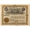 Image 1 : Nevada Copper Butte Mining Co. Stock Certificate
