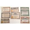 Image 1 : Lot of 8 Goldfield stocks