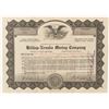 Image 1 : Hilltop-Nevada Mining Co. Stock Certificate