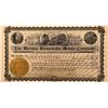 Image 1 : Nevada Homestake Mines Company Stock