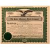 Image 1 : Silver Mountain Metals Company Stock Certificate