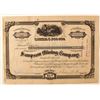 Image 1 : Sampson Mining Company Stock Certificate