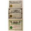 Image 1 : Nevada, Idaho & Arizona Stock Certificates Trio