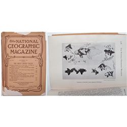 National Geographic Magazine, Vol. 17.