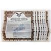Image 1 : William Cluff Company Stock Certificates- Bay Area Wholesale Grocer (7)